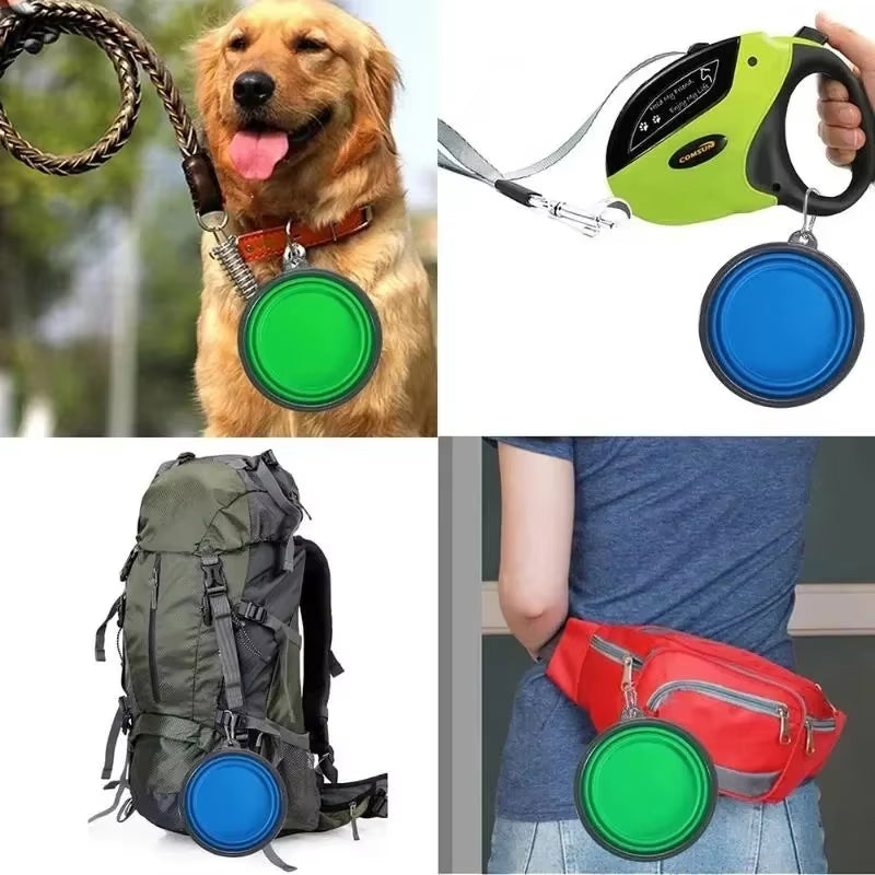 Travel Water/Food Bowl