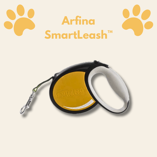 Smart Retractable Leash With Safety Features